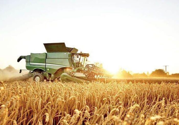 خرید ۱۵۰ هزار تن گندم از کشاورزان اصفهان پیش بینی شده